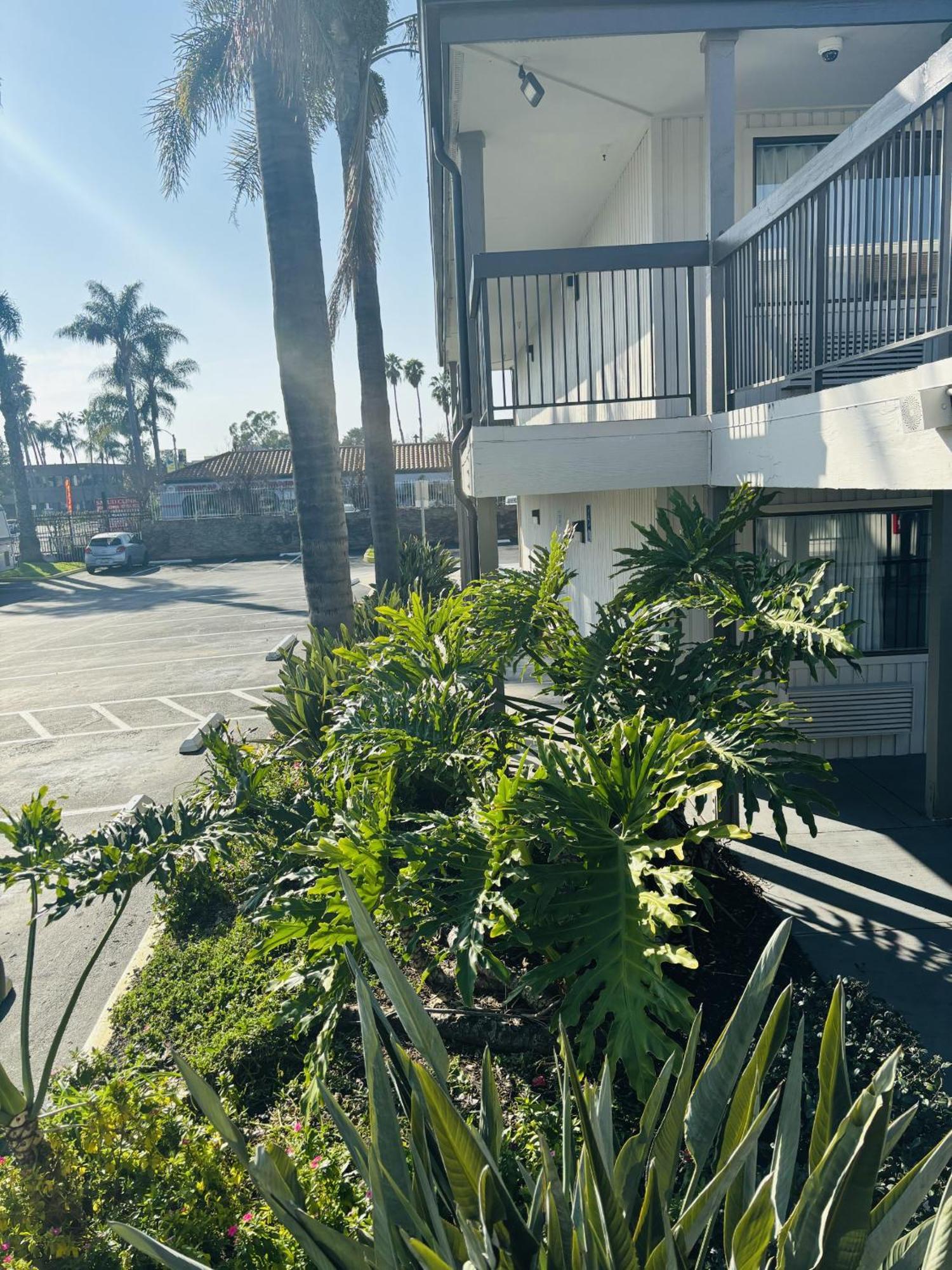 Motel 6-Santa Ana, Ca Eksteriør billede